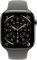 Apple Watch Series 11 GPS + Cellular 46mm Natural Tit. Case w. Stone Gray Sport Band - S/M (MFCW4)