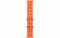Apple Watch Ultra 2 GPS + Cellular 49mm Titanium Case with Orange Ocean Band (MREH3)