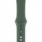 Apple Watch Series 5 GPS 44mm Space Gray Aluminum Case with Pine Green Sport Band (MWT52)
