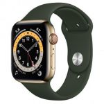 Apple Watch Series 6 LTE 44mm Gold Stainless Steel Case with Cyprus Green Sport Band (M07N3)