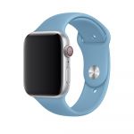 Ремешок Apple Watch Sport Band 42 mm/44 mm (M/L) 2pcs (cornflower)