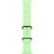 Apple Watch Ultra 3 LTE 49mm Black Tit. Case w. Neon Green O. Band (MF254+MGCL4)