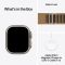 Apple Watch Ultra 4 Natural Titanium Case with Desert Alpine Loop - Small (MJAE4)