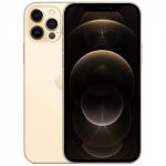 iPhone 12 Pro Max 512Gb Gold (Dual Sim) (MGCC3)
