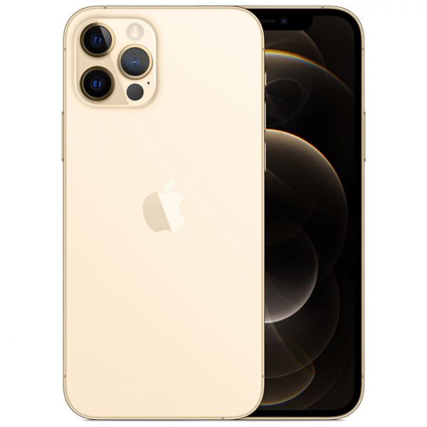 iPhone 12 Pro Max 256Gb (Gold) (MGDE3)