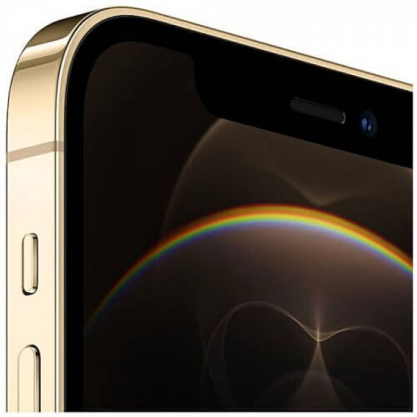 iPhone 12 Pro Max 512Gb Gold (Dual Sim) (MGCC3)