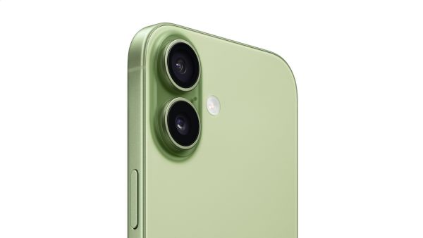 iPhone 17 256Gb Sage (eSim) (MG4A4)