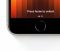 iPhone SE 2022 64Gb (Midnight) (MMX53)