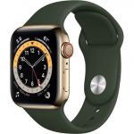 Apple Watch Series 6 LTE 40mm Gold Stainless Steel Case with Cyprus Green Sport Band (M06V3 / M02W3)