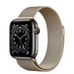 Apple Watch Series 6 LTE 40mm Graphite Stainless Steel Case with Gold Milanese Loop (M0DF3/M0DW3)