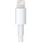 Адаптер-кабель Apple Lightning to 30-pin (0.2 m) (MD824)