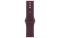 Apple Watch Series 12 LTE 46mm Radiant Gold Titanium Case with Burgundy Sport Band M/L (MJGT4)