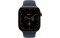 Apple Watch Series 12 GPS + Cellular 46mm Natural Titanium Case w Navy Blue Sport Band M/L (MJGN4)