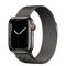 Apple Watch Series 7 LTE 41mm Graphite Stainless Steel Case with Graphite Milanese Loop (MKJ23)