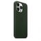 Leather Case with MagSafe for iPhone 13 Pro Max Sequoia Green (MM1Q3)