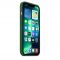 Silicone Case with MagSafe for iPhone 13 Pro Clover (MM2F3)