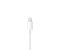 Наушники Apple EarPods with Lightning Connector (MMTN2)