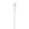 Кабель Apple Lightning to USB Cable (1.0m) (MXLY2/MQUE2)