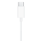 Headphones USB-C (MTYJ3)