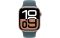Apple Watch Series 10 GPS 42mm Rose Gold Aluminium Case w. Lake Green Sport Band S/M (MWWY3+MXL93)