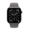 Apple Watch Series 11 GPS + Cellular 42mm Natural Tit. Case w. Stone Gray Sport Band - M/L (MF8N4)