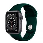 Ремешок Apple Watch 42/44mm Sport Band (S/M & M/L) Forest Green OEM