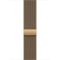Apple Watch Series 12 LTE 46mm Radiant Gold Tit. Case w. Radiant Gold Milanese L. M/L (MJGV4)