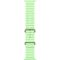 Apple Watch Ultra 3 LTE 49mm Natural Tit. Case w. Neon Green Ocean Band (MF1V4+MGCF4)